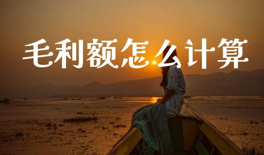 毛利额怎么计算_https://wap.lcjysmgs.com_元宇宙_第1张