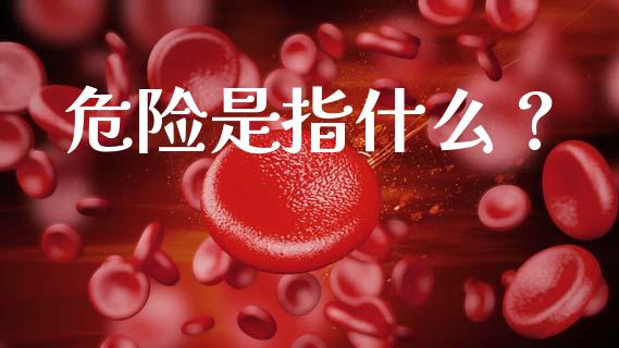 危险是指什么？_https://wap.lcjysmgs.com_元宇宙_第1张