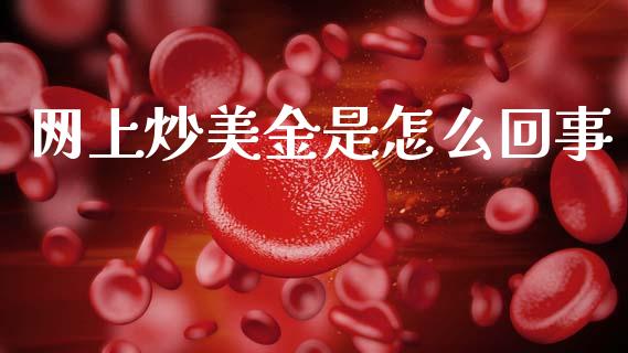 网上炒美金是怎么回事_https://wap.lcjysmgs.com_金融交易_第1张