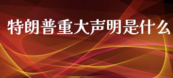 特朗普重大声明是什么_https://wap.lcjysmgs.com_金融交易_第1张