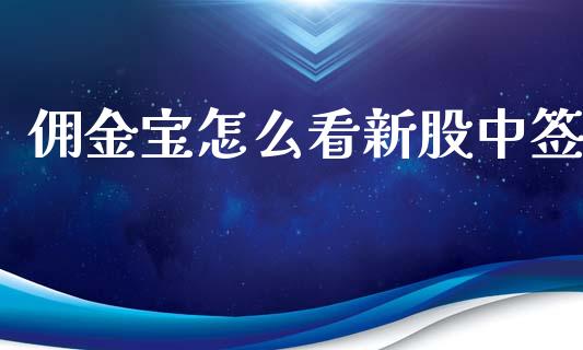 佣金宝怎么看新股中签_https://wap.lcjysmgs.com_原油期货_第1张