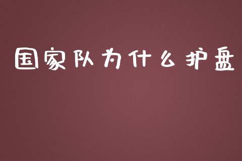 国家队为什么护盘_https://wap.lcjysmgs.com_金融交易_第1张