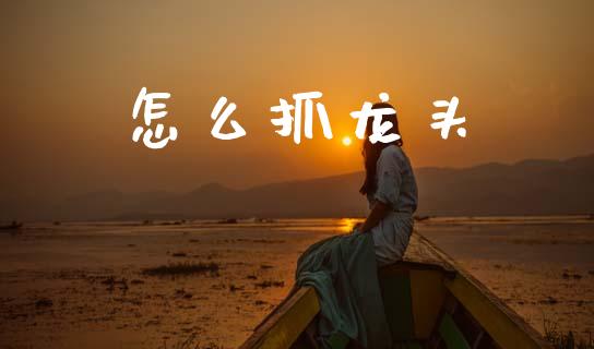 怎么抓龙头_https://wap.lcjysmgs.com_债券基金_第1张