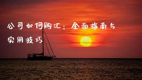 公司如何购汇：全面指南与实用技巧_https://wap.lcjysmgs.com_元宇宙_第1张