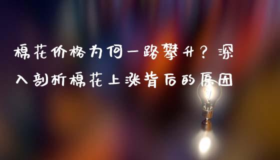 棉花价格为何一路攀升？深入剖析棉花上涨背后的原因_https://wap.lcjysmgs.com_债券基金_第1张