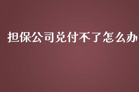担保公司兑付不了怎么办_https://wap.lcjysmgs.com_金融交易_第1张