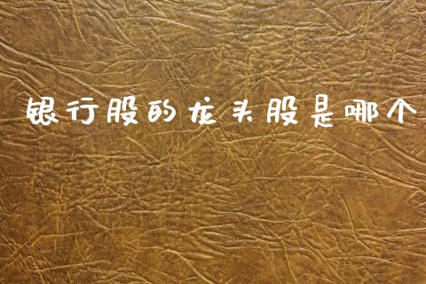银行股的龙头股是哪个_https://wap.lcjysmgs.com_金融交易_第1张