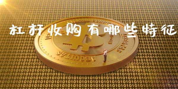 杠杆收购有哪些特征_https://wap.lcjysmgs.com_金融交易_第1张