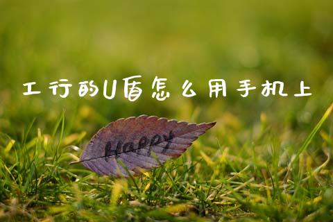 工行的U盾怎么用手机上_https://wap.lcjysmgs.com_债券基金_第1张
