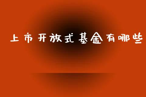 上市开放式基金有哪些_https://wap.lcjysmgs.com_元宇宙_第1张