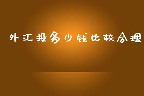外汇投多少钱比较合理_https://wap.lcjysmgs.com_金融交易_第1张