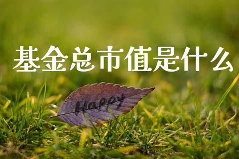 基金总市值是什么_https://wap.lcjysmgs.com_元宇宙_第1张