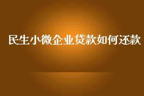 民生小微企业贷款如何还款_https://wap.lcjysmgs.com_元宇宙_第1张