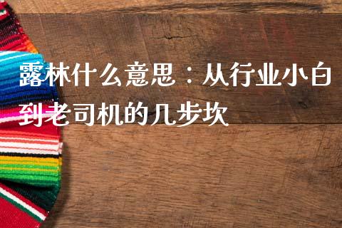 露林什么意思：从行业小白到老司机的几步坎_https://wap.lcjysmgs.com_元宇宙_第1张