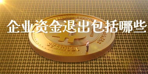 企业资金退出包括哪些_https://wap.lcjysmgs.com_元宇宙_第1张