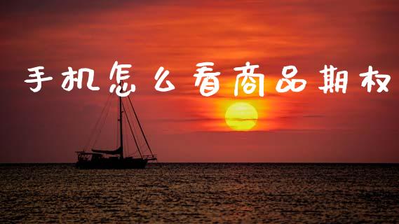 手机怎么看商品期权_https://wap.lcjysmgs.com_原油期货_第1张