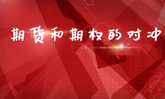期货和期权的对冲_https://wap.lcjysmgs.com_原油期货_第1张
