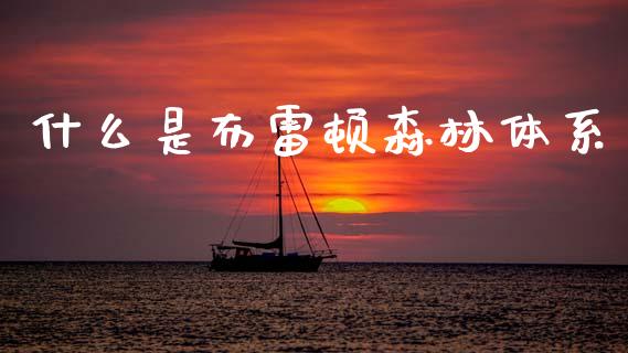 什么是布雷顿森林体系_https://wap.lcjysmgs.com_债券基金_第1张