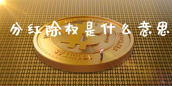 分红除权是什么意思_https://wap.lcjysmgs.com_原油期货_第1张