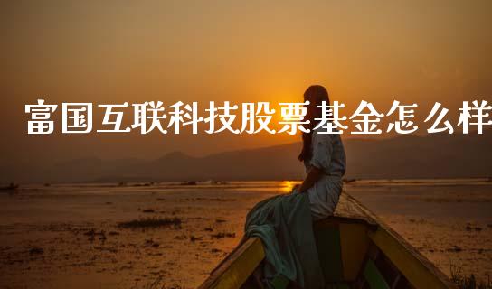 富国互联科技股票基金怎么样_https://wap.lcjysmgs.com_金融交易_第1张