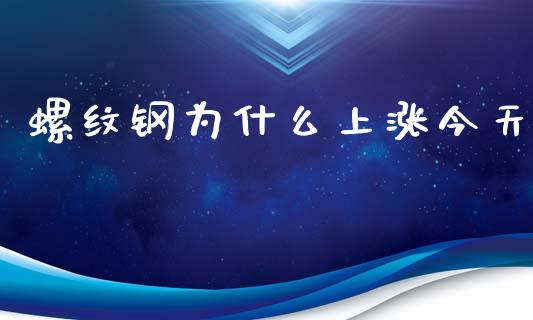 螺纹钢为什么上涨今天_https://wap.lcjysmgs.com_金融交易_第1张