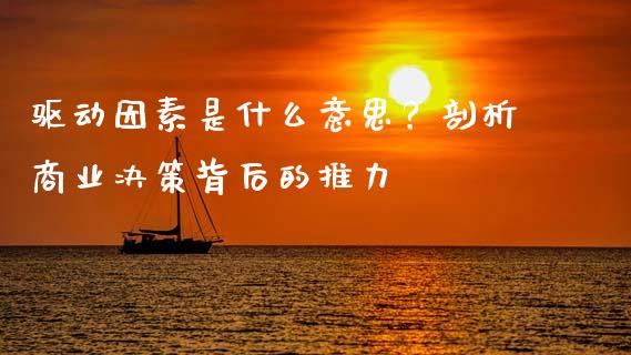驱动因素是什么意思？剖析商业决策背后的推力_https://wap.lcjysmgs.com_元宇宙_第1张