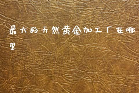 最大的天然黄金加工厂在哪里_https://wap.lcjysmgs.com_元宇宙_第1张