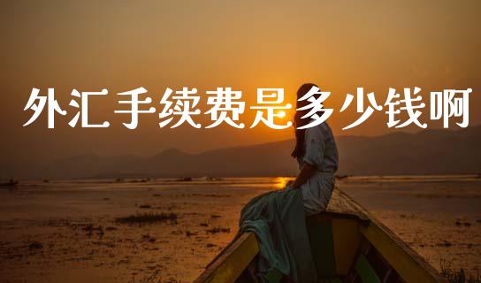 外汇手续费是多少钱啊_https://wap.lcjysmgs.com_债券基金_第1张