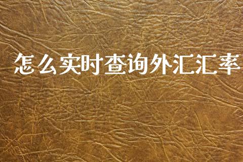 怎么实时查询外汇汇率_https://wap.lcjysmgs.com_原油期货_第1张