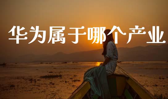 华为属于哪个产业_https://wap.lcjysmgs.com_原油期货_第1张