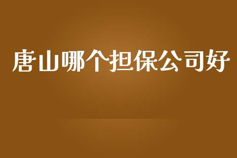 唐山哪个担保公司好_https://wap.lcjysmgs.com_元宇宙_第1张