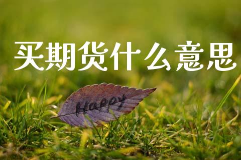 买期货什么意思_https://wap.lcjysmgs.com_金融交易_第1张