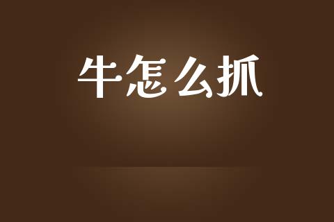 牛怎么抓_https://wap.lcjysmgs.com_债券基金_第1张