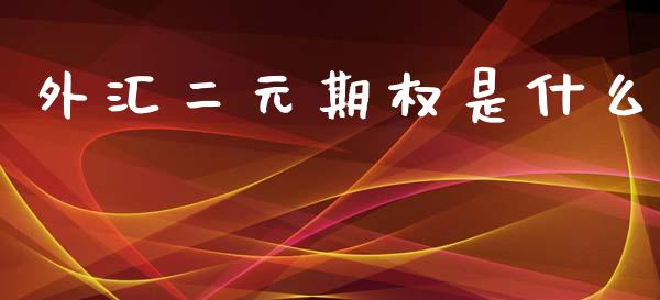 外汇二元期权是什么_https://wap.lcjysmgs.com_金融交易_第1张