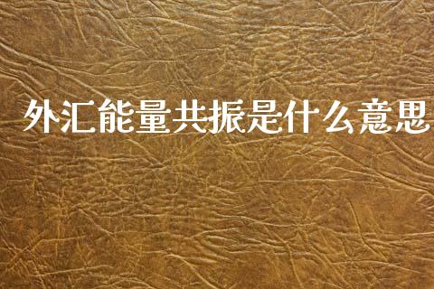 外汇能量共振是什么意思_https://wap.lcjysmgs.com_元宇宙_第1张