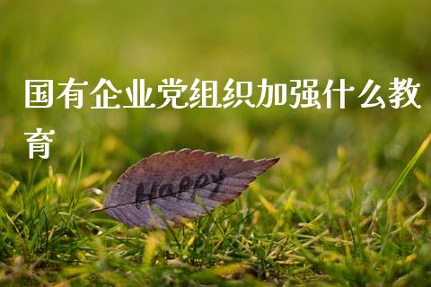 国有企业党组织加强什么教育_https://wap.lcjysmgs.com_债券基金_第1张
