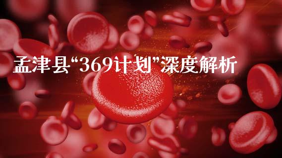 孟津县“369计划”深度解析_https://wap.lcjysmgs.com_元宇宙_第1张