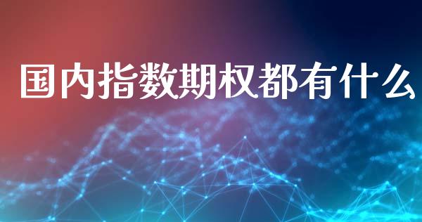 国内指数期权都有什么_https://wap.lcjysmgs.com_债券基金_第1张