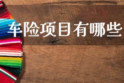 车险项目有哪些_https://wap.lcjysmgs.com_元宇宙_第1张