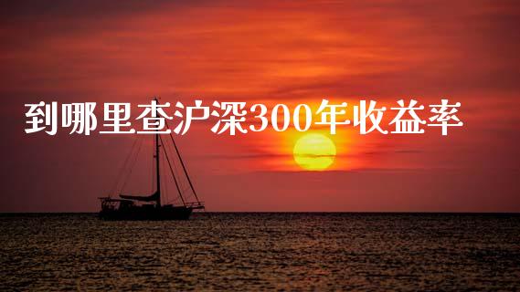 到哪里查沪深300年收益率_https://wap.lcjysmgs.com_元宇宙_第1张