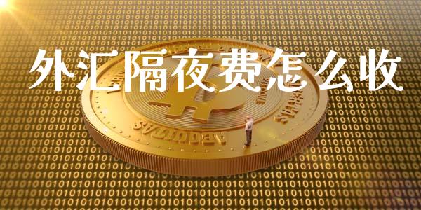 外汇隔夜费怎么收_https://wap.lcjysmgs.com_债券基金_第1张