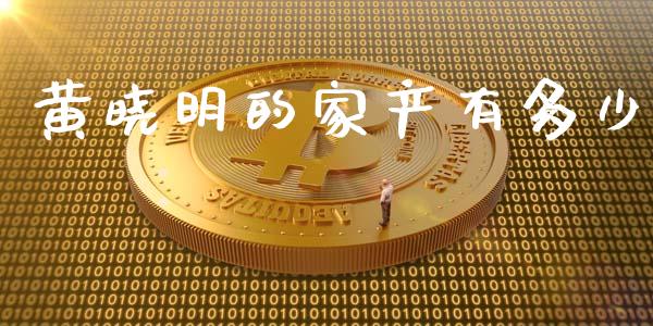 黄晓明的家产有多少_https://wap.lcjysmgs.com_原油期货_第1张