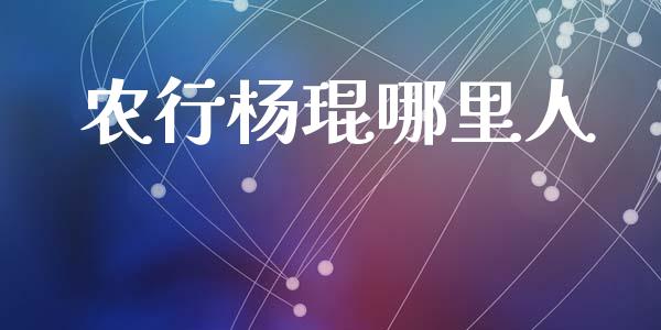 农行杨琨哪里人_https://wap.lcjysmgs.com_金融交易_第1张