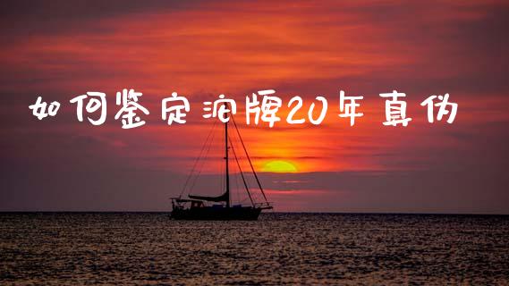 如何鉴定沱牌20年真伪_https://wap.lcjysmgs.com_元宇宙_第1张
