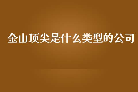 金山顶尖是什么类型的公司_https://wap.lcjysmgs.com_原油期货_第1张
