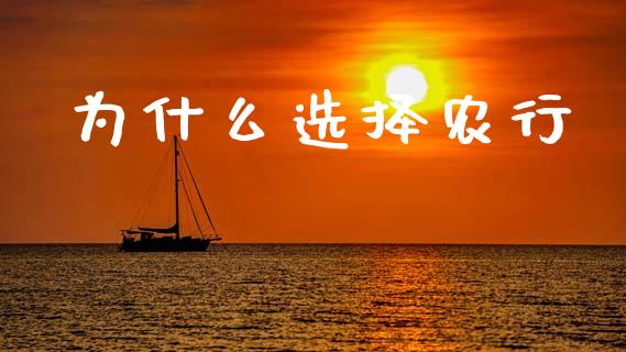 为什么选择农行_https://wap.lcjysmgs.com_债券基金_第1张