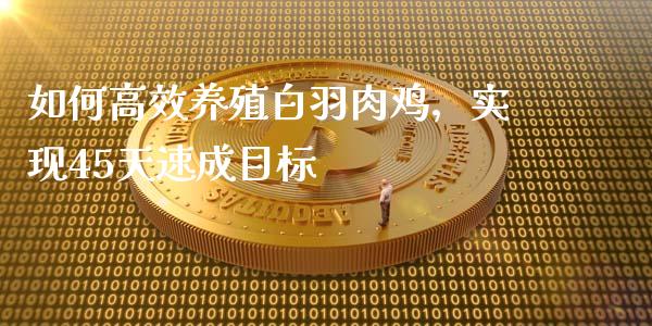 如何高效养殖白羽肉鸡,实现45天速成目标_债券基金_第1张_金融交易_元宇宙_原油期货_债券基金 如何高效养殖白羽肉鸡,实现45天速成目标_https://wap.lcjysmgs.com_债券基金_第1张
