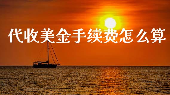 代收美金手续费怎么算_https://wap.lcjysmgs.com_债券基金_第1张