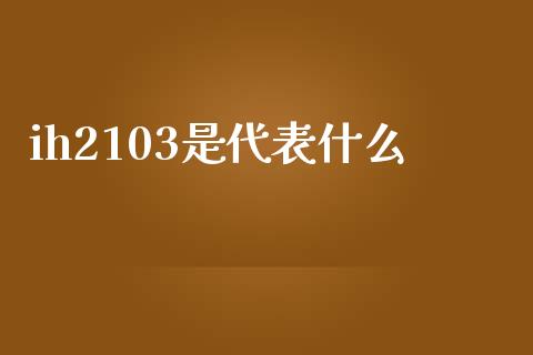 ih2103是代表什么_https://wap.lcjysmgs.com_债券基金_第1张