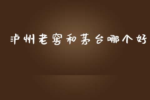 泸州老窖和茅台哪个好_https://wap.lcjysmgs.com_原油期货_第1张